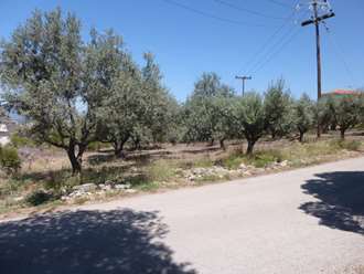 Land plot, Nea Artaki, Evia