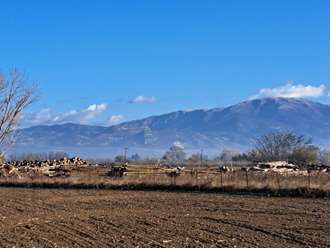 Land Plot, Serres