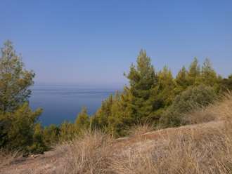 Αγροτεμάχιο, Παλλήνη, Χαλκιδική