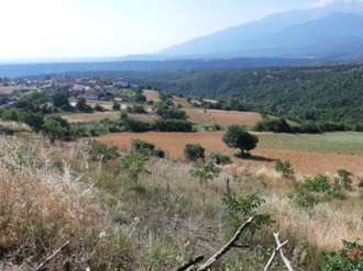 Οικόπεδο 1001 τ.μ., Μεσαία Μηλιά, Πιερία