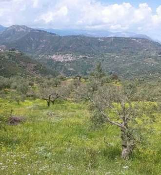 Agricultural land plot 3870 sq.m., Aigio