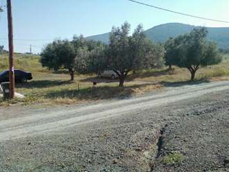 Αγροτεμάχιο επιφανείας 12.842,39τ.μ.