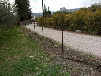 Οικόπεδο, Θερμησία, Ερμιόνη, Αργολίδα