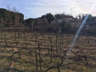 Οικόπεδο, Γραμμένο, Ζίτσα