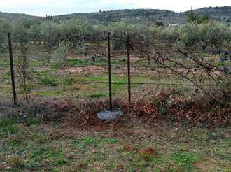 Aγροτεμάχιο, Κόρινθος