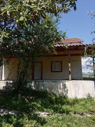 Μονοκατοικία με ελαιόδεντρα, Πρέβεζα
