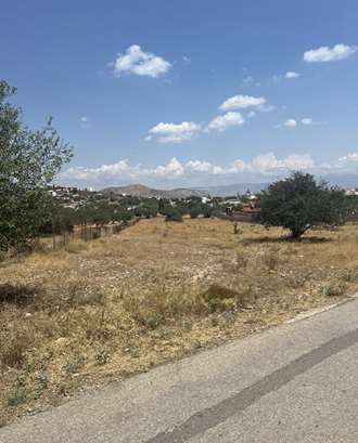 Αγροτεμάχιο, Σαλαμίνα